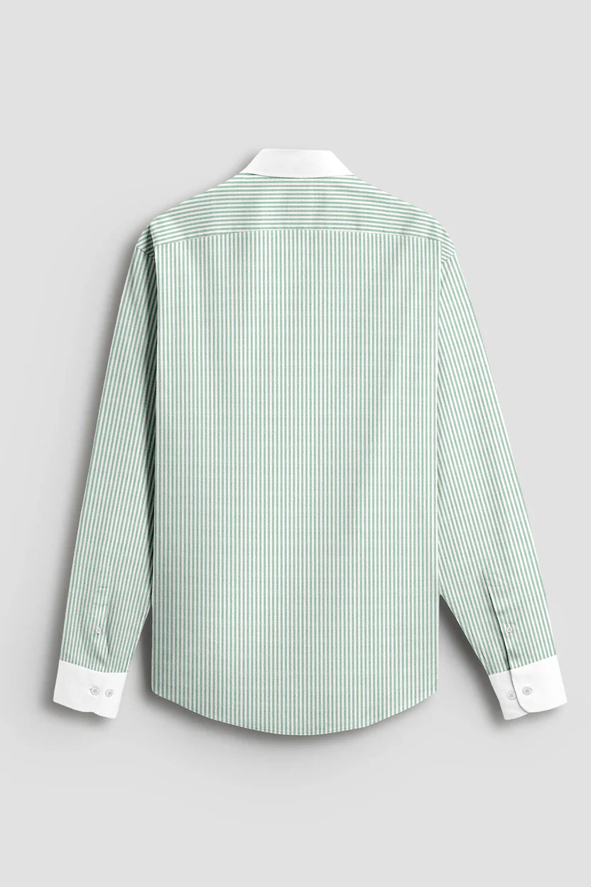 Royal French  Pista With White Cuff Caller  Classic Shirt