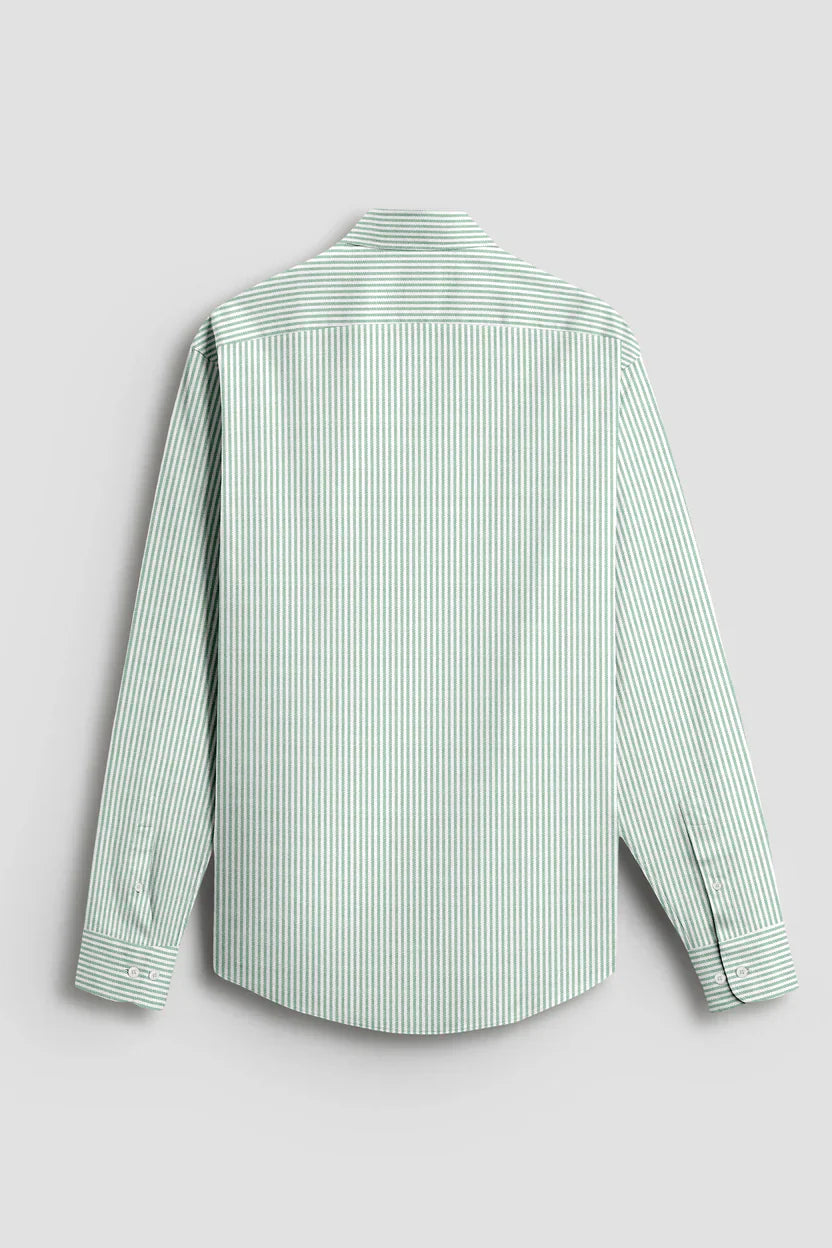 Royal French  Pista  Classic Plane  Shirt