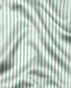 Royal French  Pista With White Cuff Caller  Classic Shirt