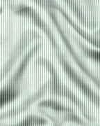 Royal French  Pista  Classic Plane  Shirt